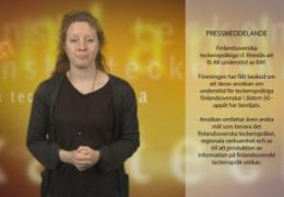 Pressmeddelande om RAY AK understöd - Magdalena Kintopf-Huuhka